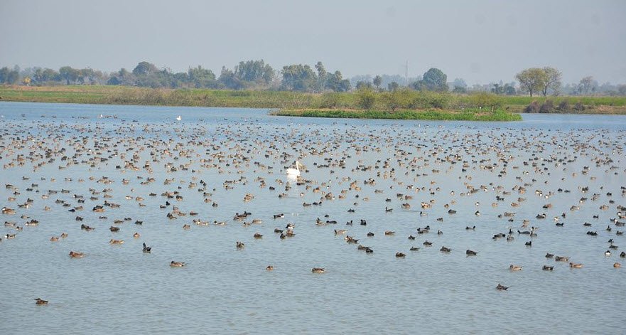 Lakh Bahosi Wildlife Sanctuary